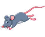 Ratones como Mascota