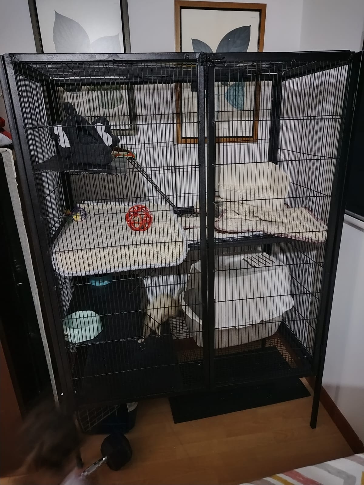 Jaula amplia en tubo 100*60*60