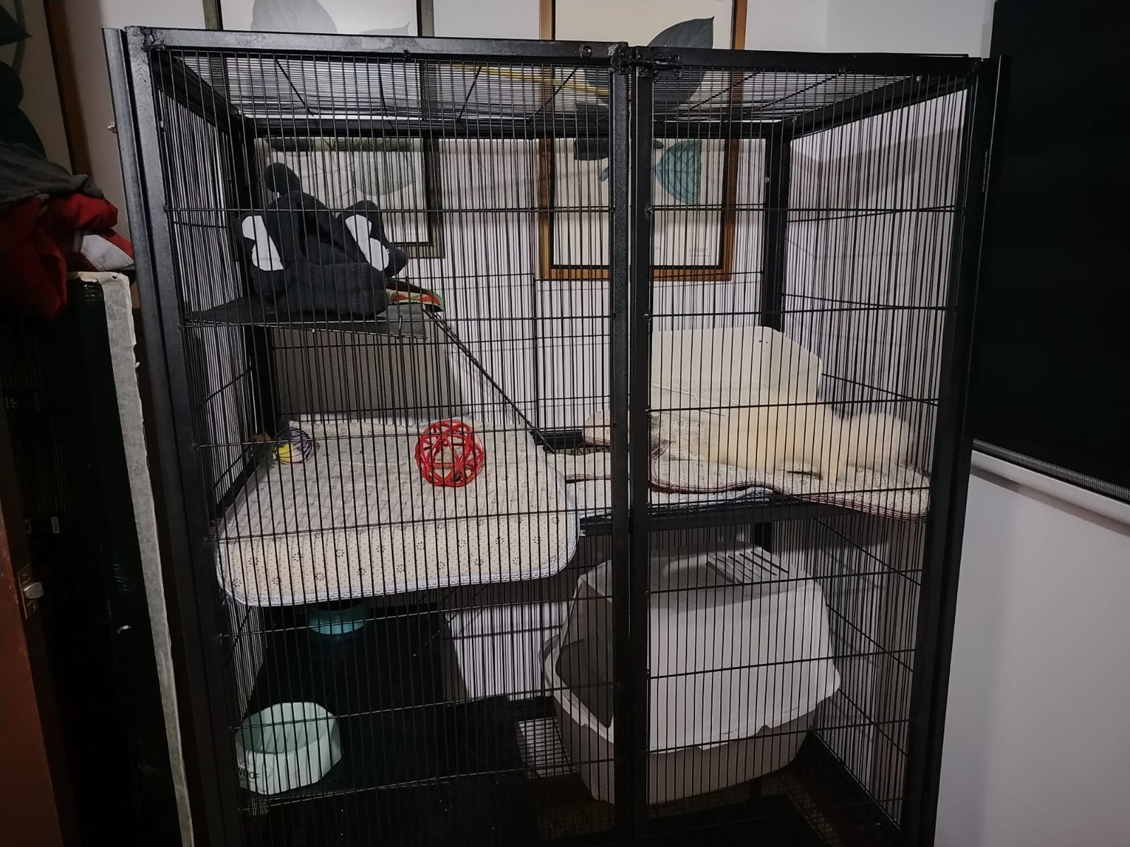 Jaula amplia en tubo 100*60*60 - Imagen 2